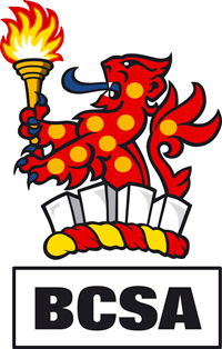 British Constructional Steelwork Association